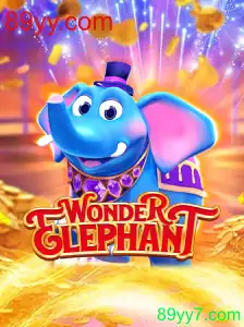 Explorando o WonderElephant: Uma Aventura Lúdica no Mundo dos Jogos Online